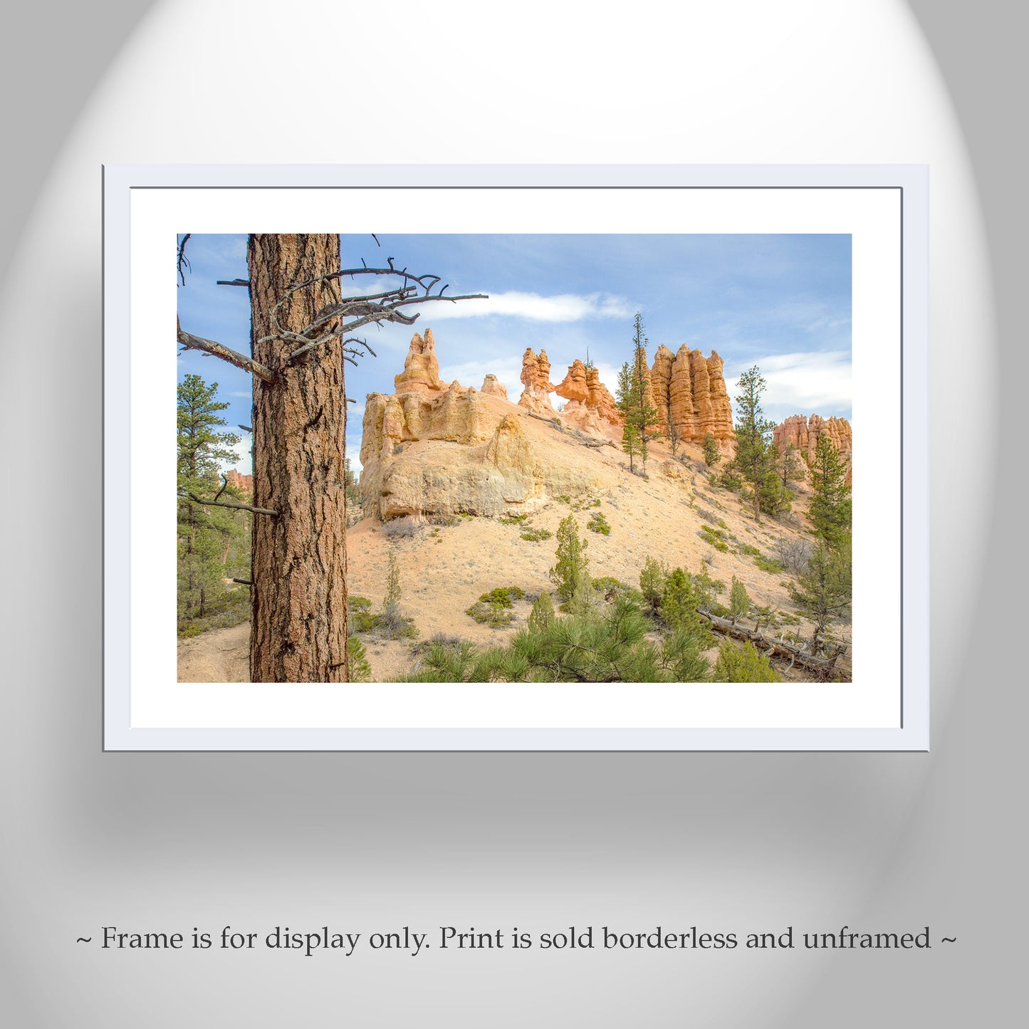 Bryce Canyon National Park Desert Landscape Photography Print