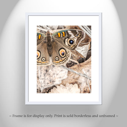 Butterfly Art Print with Autumn Colors & Earth Tones as Nature Decor