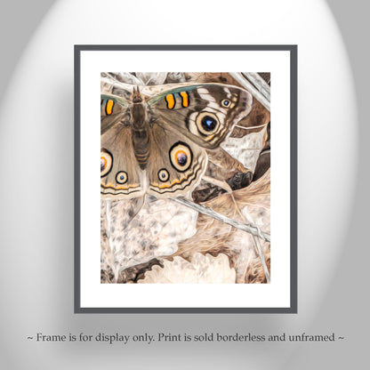 Butterfly Art Print with Autumn Colors & Earth Tones as Nature Decor