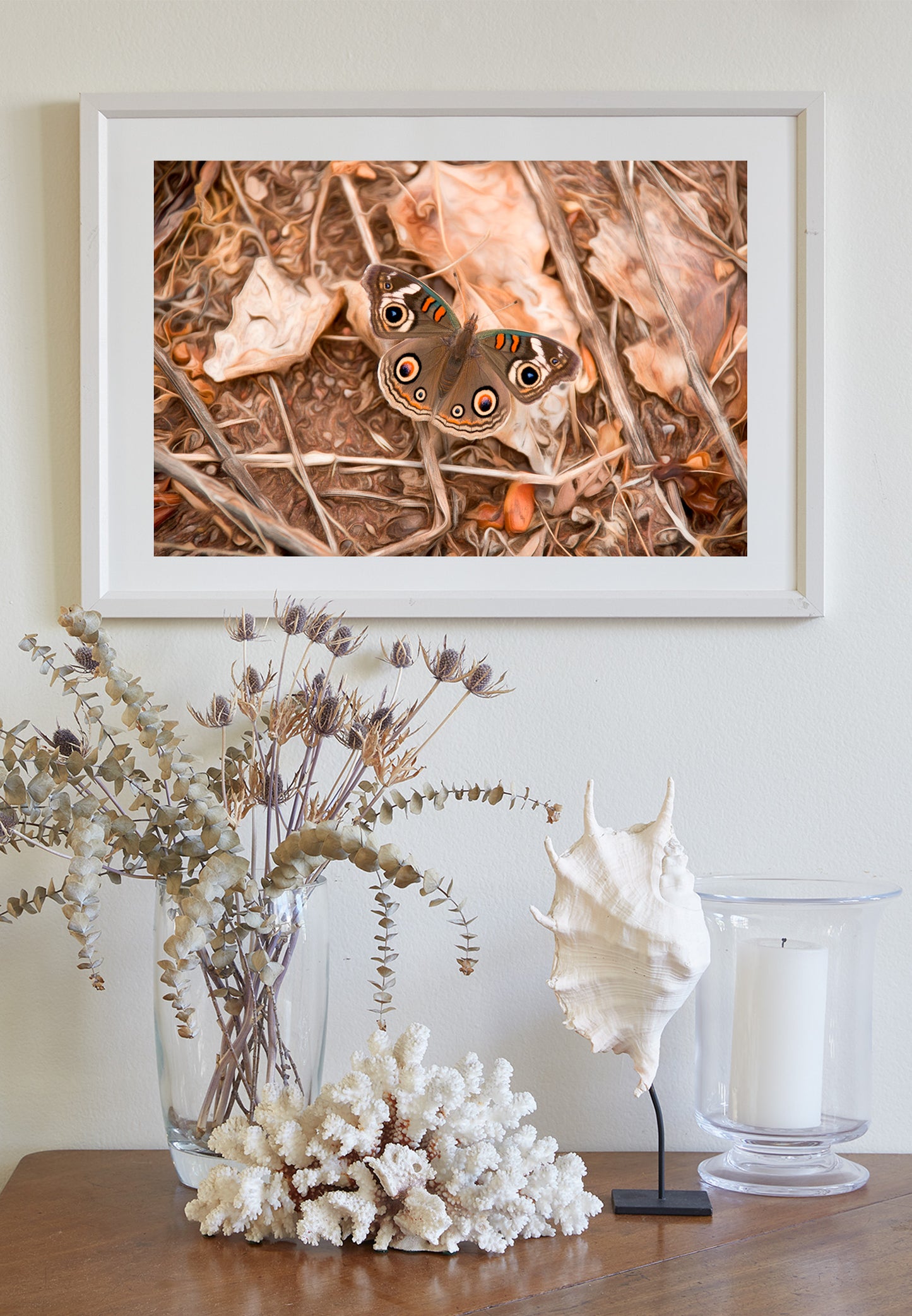 Buckeye Butterfly Autumn Nature Photograph | San Pedro River Arizona