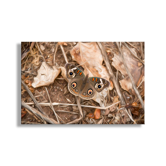 A rectangular wall art print showing a close-up photograph of a brown butterfly resting on dry leaves and twigs, displayed against a clean white background with a subtle drop shadow. My sublime butterfly art, an image captured by me in a secret watery canyon near the endangered San Pedro River in south central Arizona USA. Original, unique signed art by Murray Bolesta.