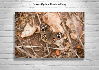 Buckeye Butterfly Autumn Nature Photograph | San Pedro River Arizona