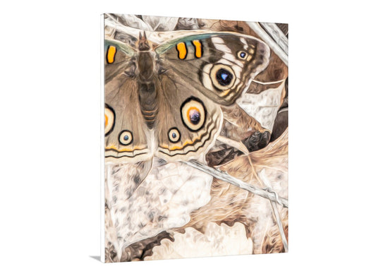 Butterfly Art Print with Autumn Colors & Earth Tones as Nature Decor
