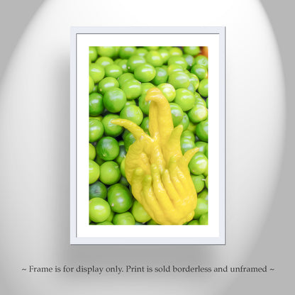 Still Life Art Print – Buddha's Hand with Limes | Fruit Photography