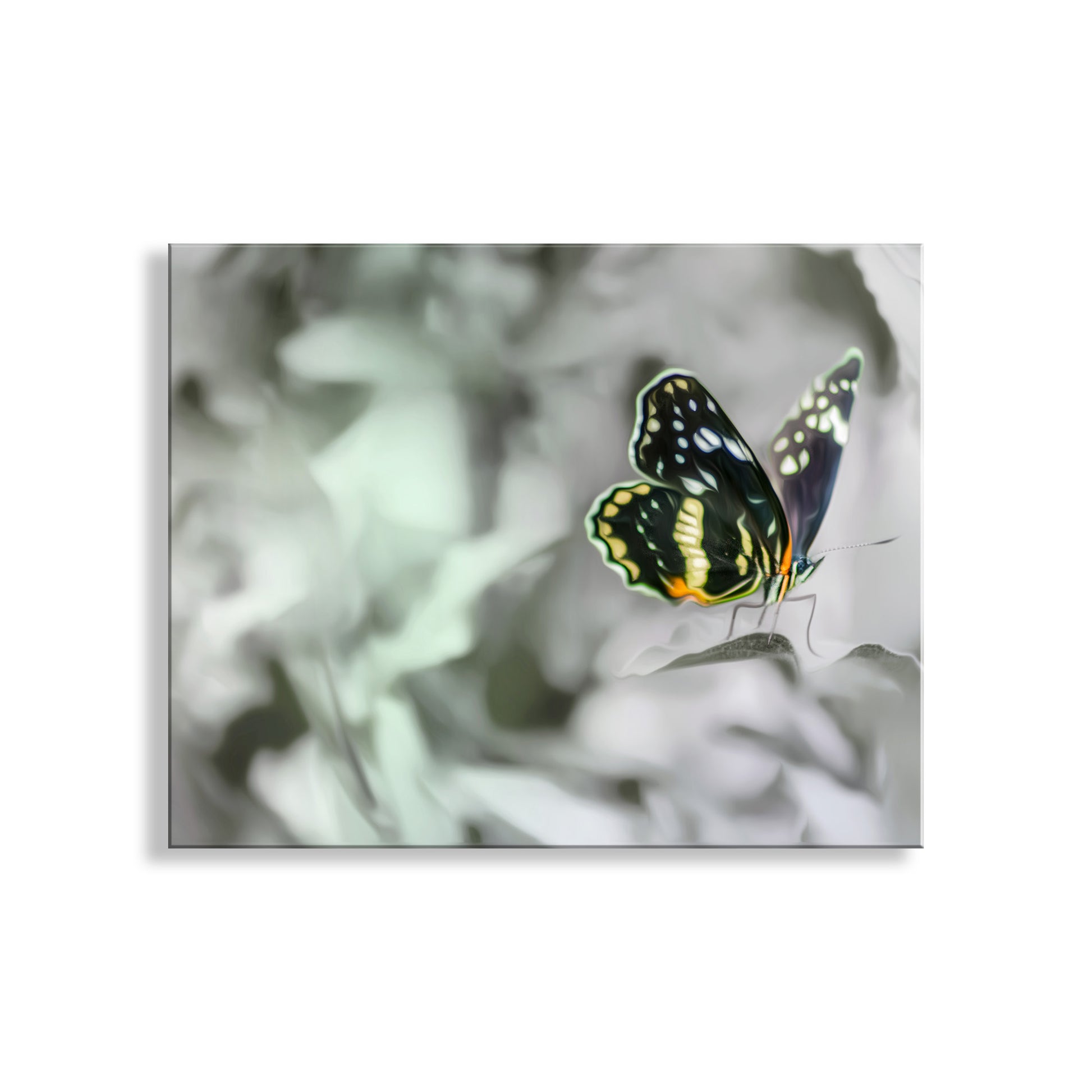 As a butterfly, how cool can you get? Here's my uniquely romantic butterfly art print for your pleasure! I captured this image at Madera Canyon of the Santa Rita Mountains in southern Arizona USA! Original, unique signed art by Murray Bolesta!