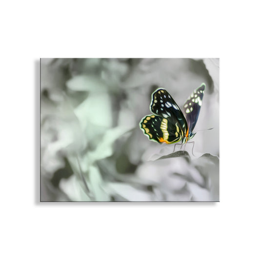 As a butterfly, how cool can you get? Here's my uniquely romantic butterfly art print for your pleasure! I captured this image at Madera Canyon of the Santa Rita Mountains in southern Arizona USA! Original, unique signed art by Murray Bolesta!