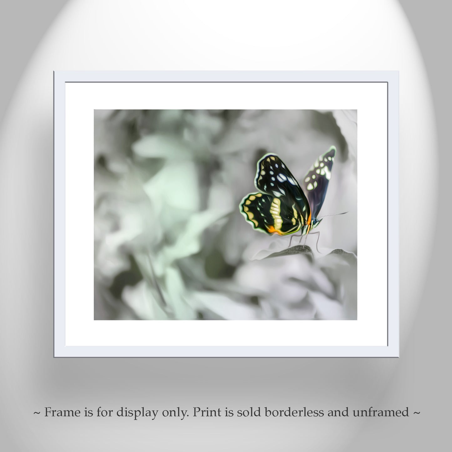 Butterfly Nature Photography as Ephemeral Nature Art Print