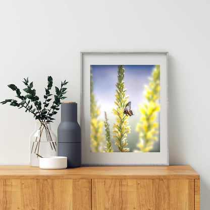 Butterfly Art with Spring Arizona Desert Shindagger Wildflowers