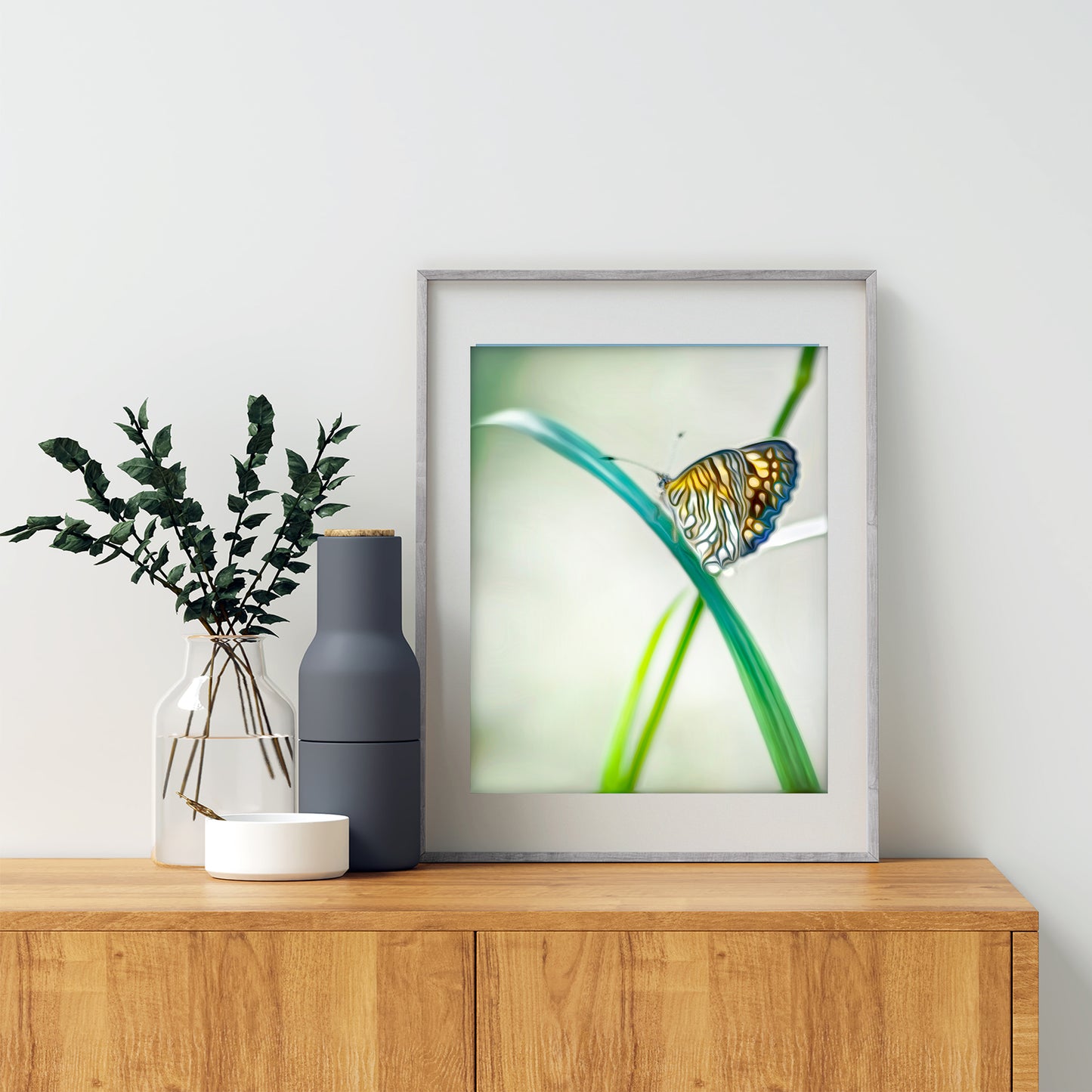 Minimalist Butterfly Artwork Southern Arizona Nature Photograph