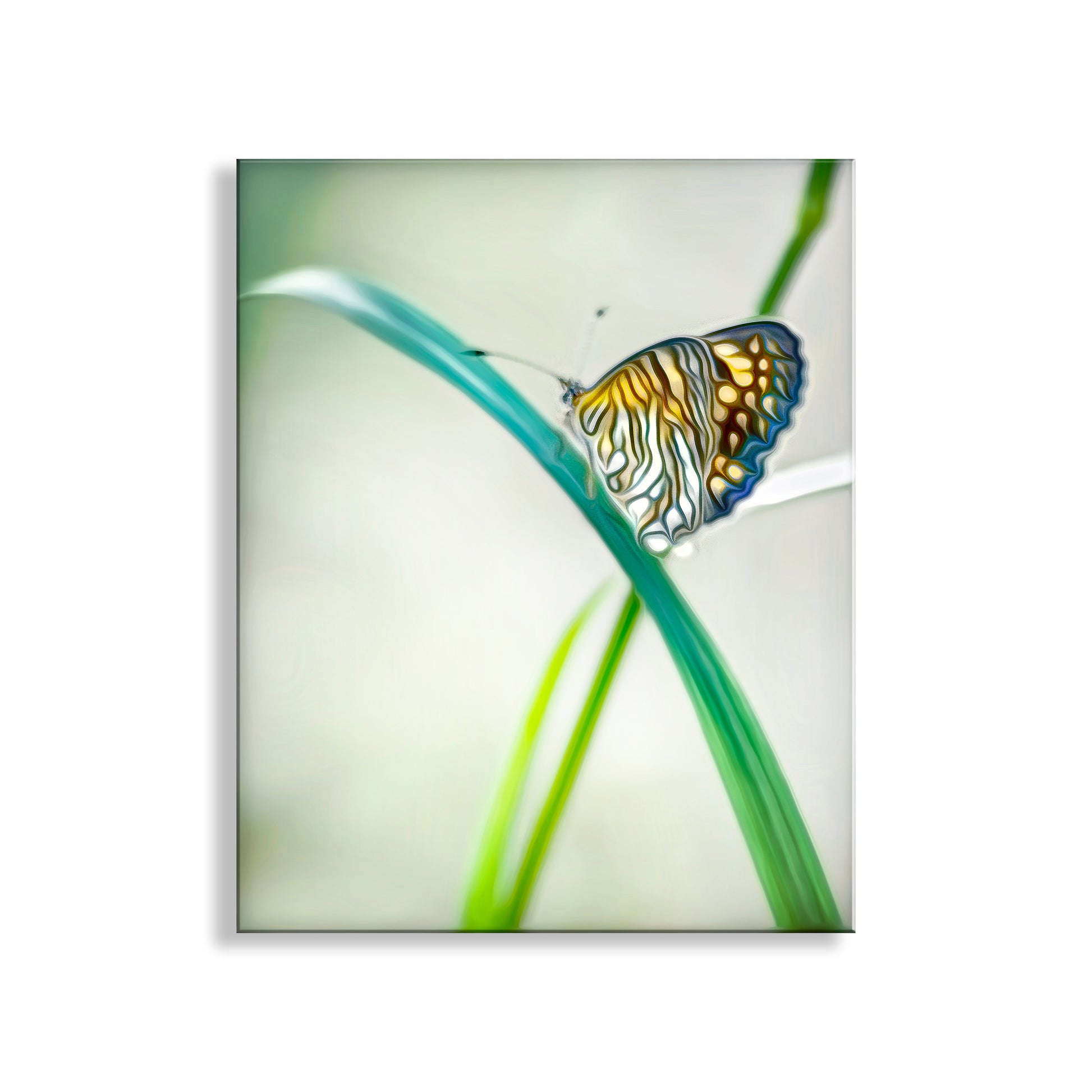 How cool can you get? Here's my uniquely wonderful butterfly art print for your pleasure! I captured this image at Patagonia-Sonoita Creek Preserve in southern Arizona USA! Original, unique signed art by Murray Bolesta!
