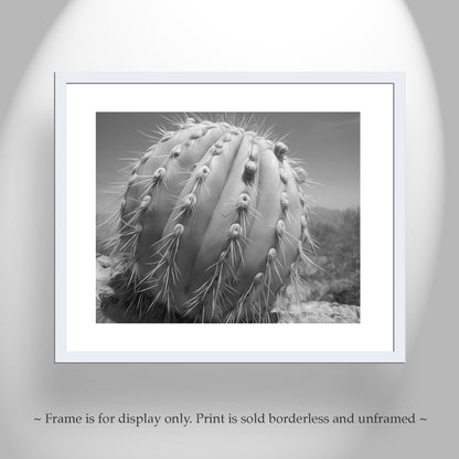 Southwestern Wall Art with Unique Desert Cactus in Black and White