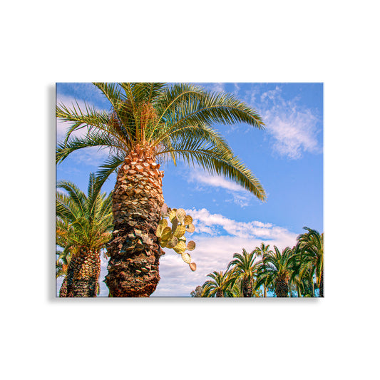 Palm trees against a blue sky with scattered clouds. Southwestern Wall Decor with Arizona Desert Cactus and Palm Tree
