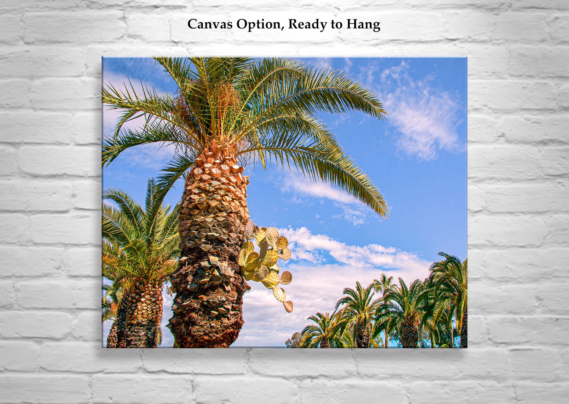 prickly palm plant Southwestern Wall Decor with Arizona Prickly Pear Cactus and Palm Tree – Murray Bolesta Fine Art Prints