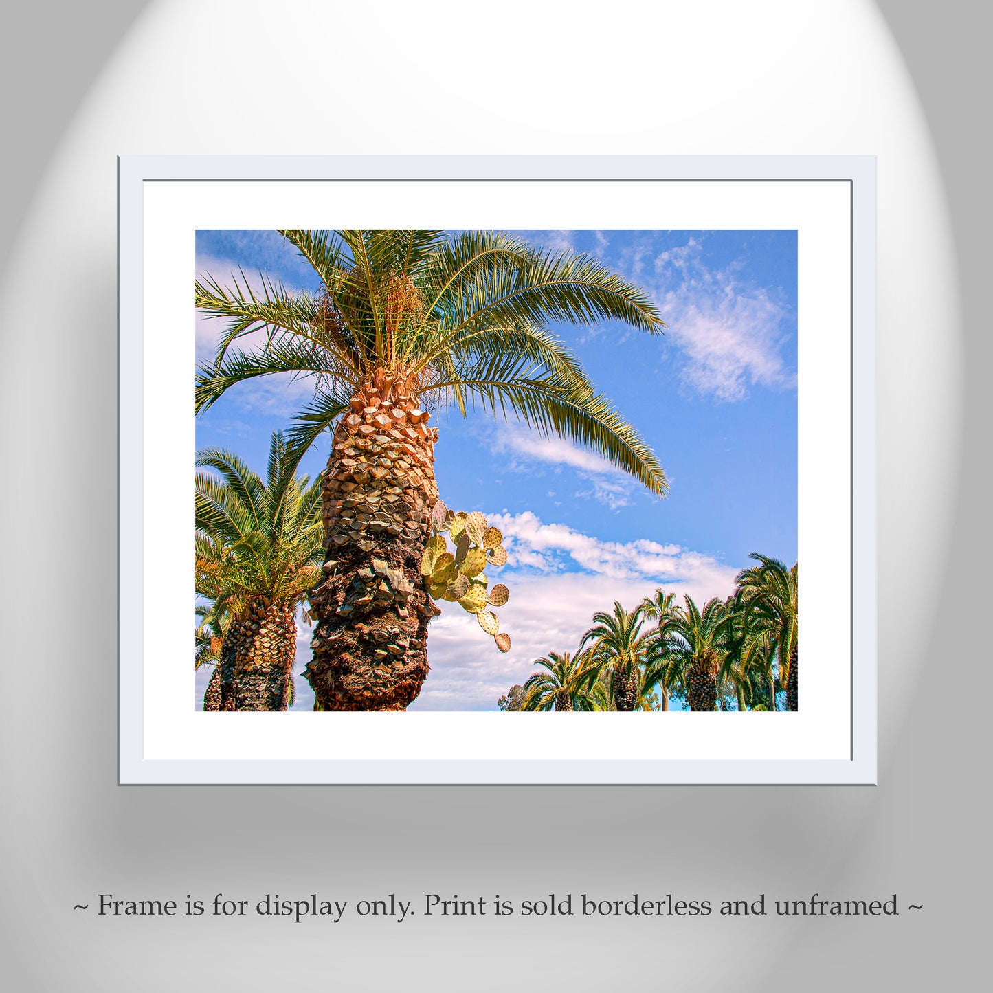 Southwestern Wall Decor with Arizona Desert Cactus and Palm Tree