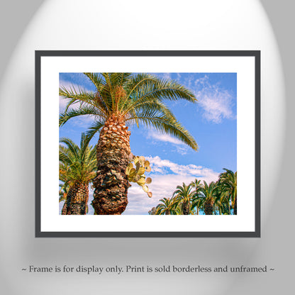 Southwestern Wall Decor with Arizona Desert Cactus and Palm Tree