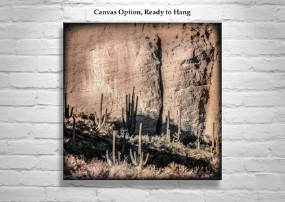 Desert Canyon and Cactus Landscape Art in Tucson Arizona for Sale