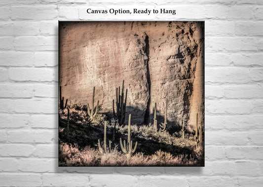Desert Canyon and Cactus Landscape Art in Tucson Arizona for Sale