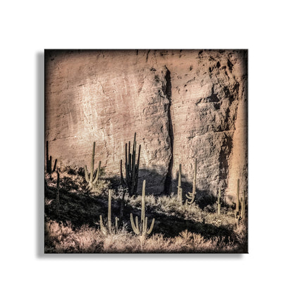 Desert Canyon and Cactus Landscape Art in Tucson Arizona for Sale