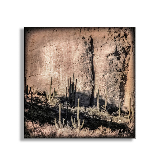 Desert Canyon and Cactus Landscape Art in Tucson Arizona for Sale