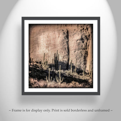 Desert Canyon and Cactus Landscape Art in Tucson Arizona for Sale