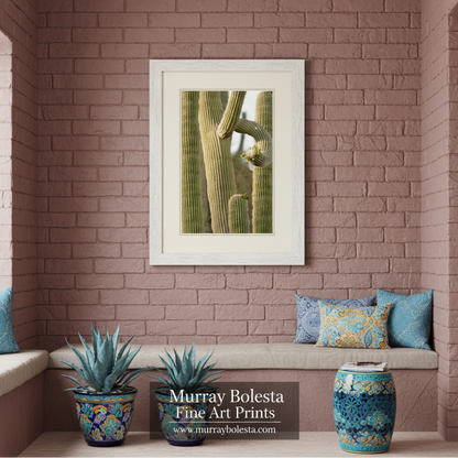 Saguaro Cactus Art Print - Arizona Ironwood Forest Desert Photo