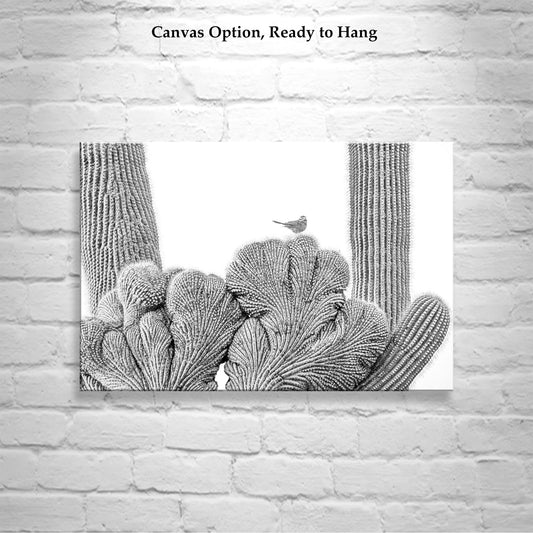 Cactus Wren Bird Photograph with Crested Saguaro in Black and White