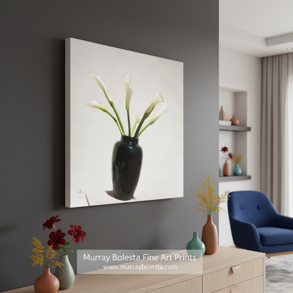 Black vase with white flowers on a light gray background, Calla Lilly Flower Photograph as Minimalist Floral Art Still Life by Murray Bolesta