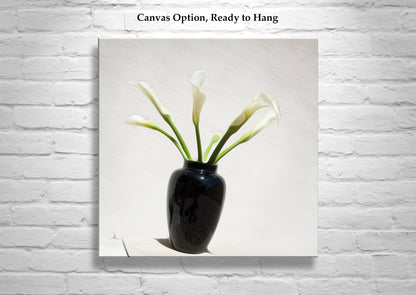 Calla Lily Flower Photograph as Minimalist Floral Art Still Life