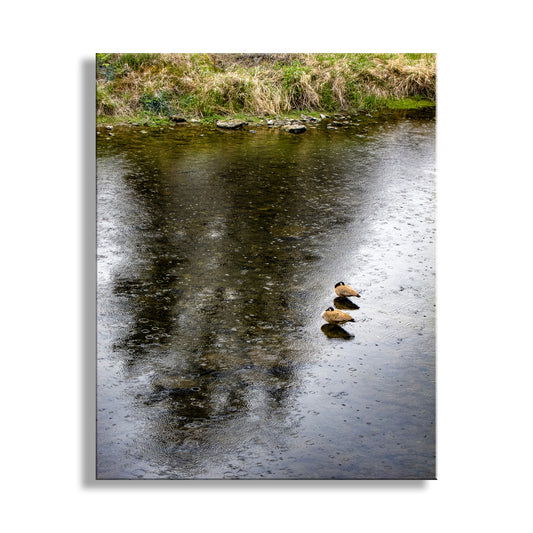 Bend Oregon Crooked River Bird Art with Canada Geese
