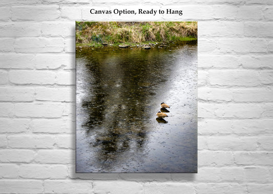 Bend Oregon Crooked River Bird Art with Canada Geese