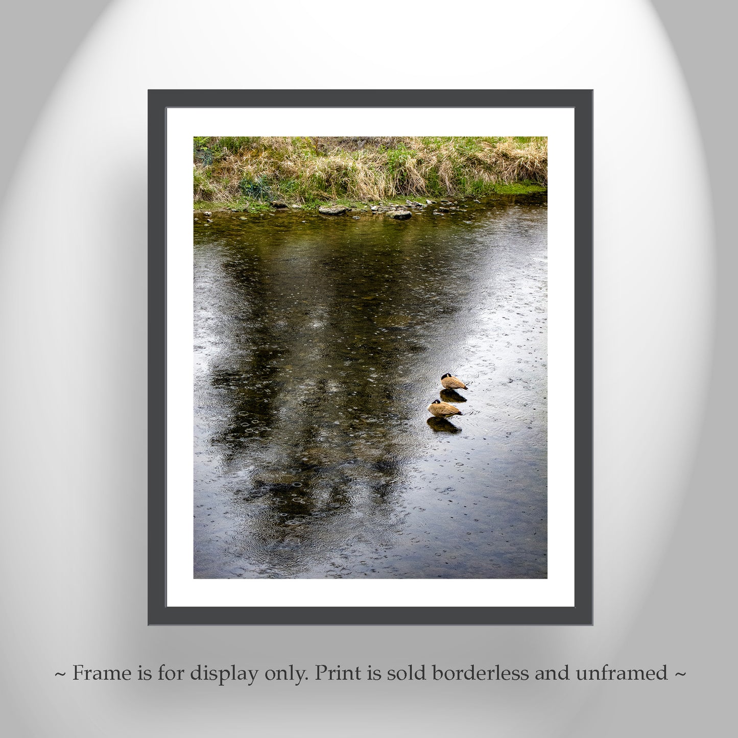 Bend Oregon Crooked River Bird Art with Canada Geese