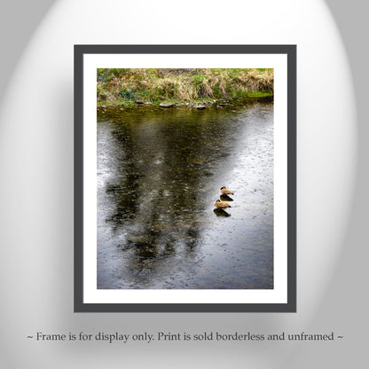 Bend Oregon Crooked River Bird Art with Canada Geese