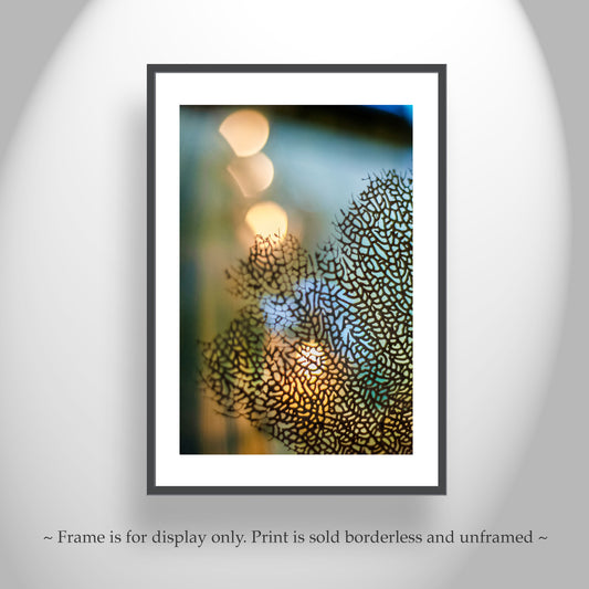 Framed artwork with a blurred abstract design on a white wall. Coral Wall Art as Bold, Dreamy Decor for Bath or Home in Warm Colors