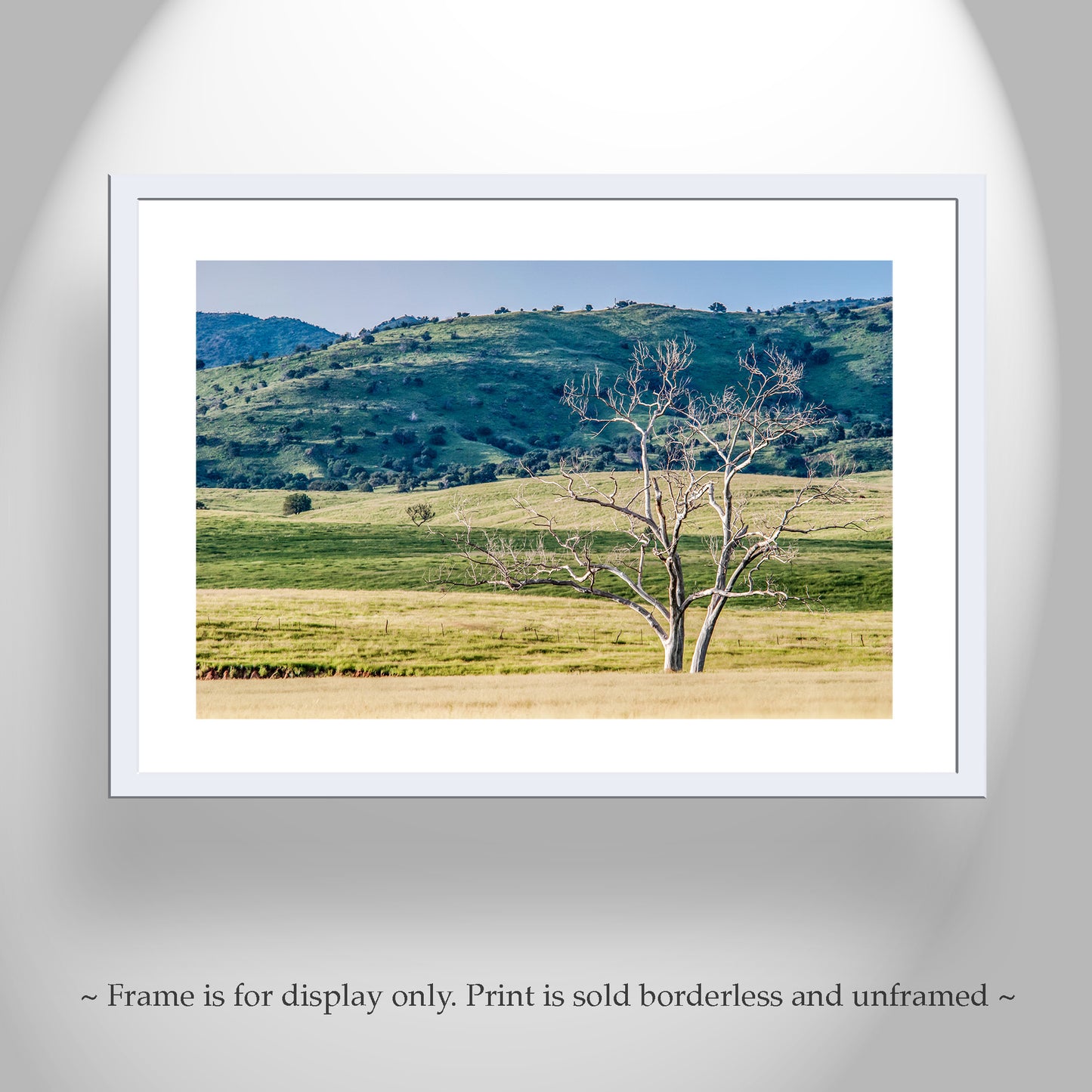 Canelo Hills Arizona Landscape Art at Mexico Border | Minimalist Bucolic Art Print