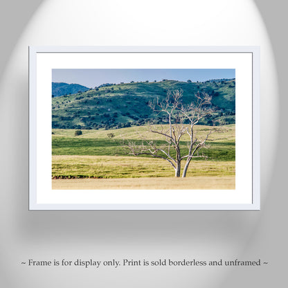 Canelo Hills Arizona Landscape Art at Mexico Border | Minimalist Bucolic Art Print