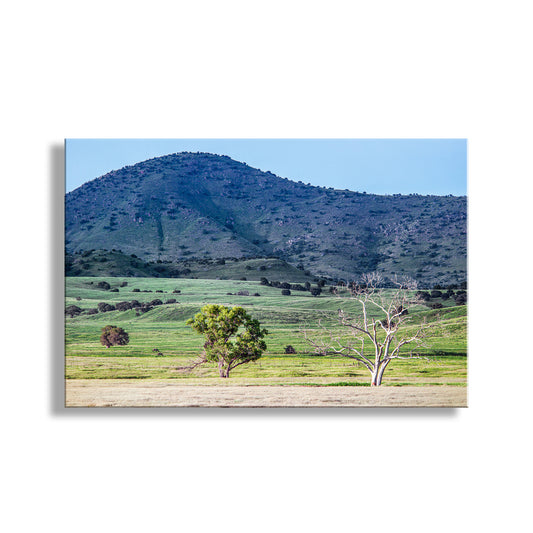 Landscape with green fields, trees, and a mountain under a blue sky. Canelo Hills Country Landscape Photo at Mexico Border | Minimalist Bucolic Art Print