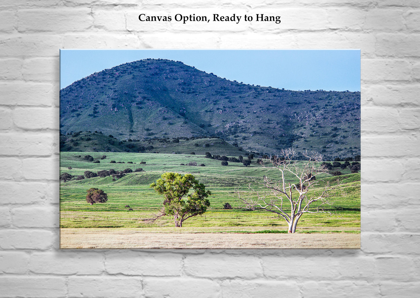 Canelo Hills Country Landscape Photo at Mexico Border | Minimalist Bucolic Art Print