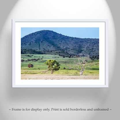 Canelo Hills Country Landscape Photo at Mexico Border | Minimalist Bucolic Art Print