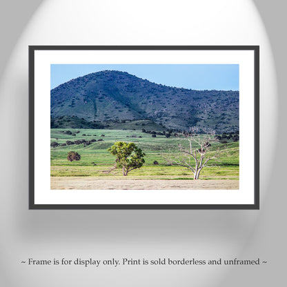 Canelo Hills Country Landscape Photo at Mexico Border | Minimalist Bucolic Art Print