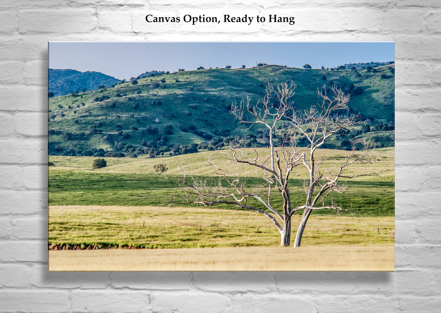 Canelo Hills Arizona Landscape Art at Mexico Border | Minimalist Bucolic Art Print