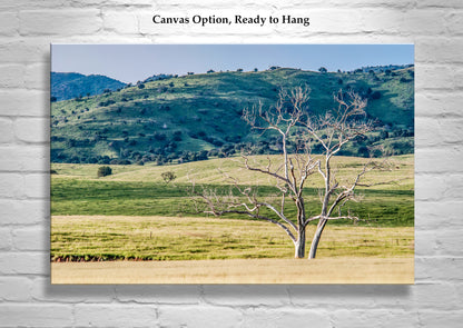 Canelo Hills Arizona Landscape Art at Mexico Border | Minimalist Bucolic Art Print