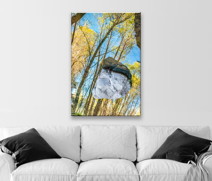 Serene Creek Water Abstract Nature Artwork in Arizona Wilderness