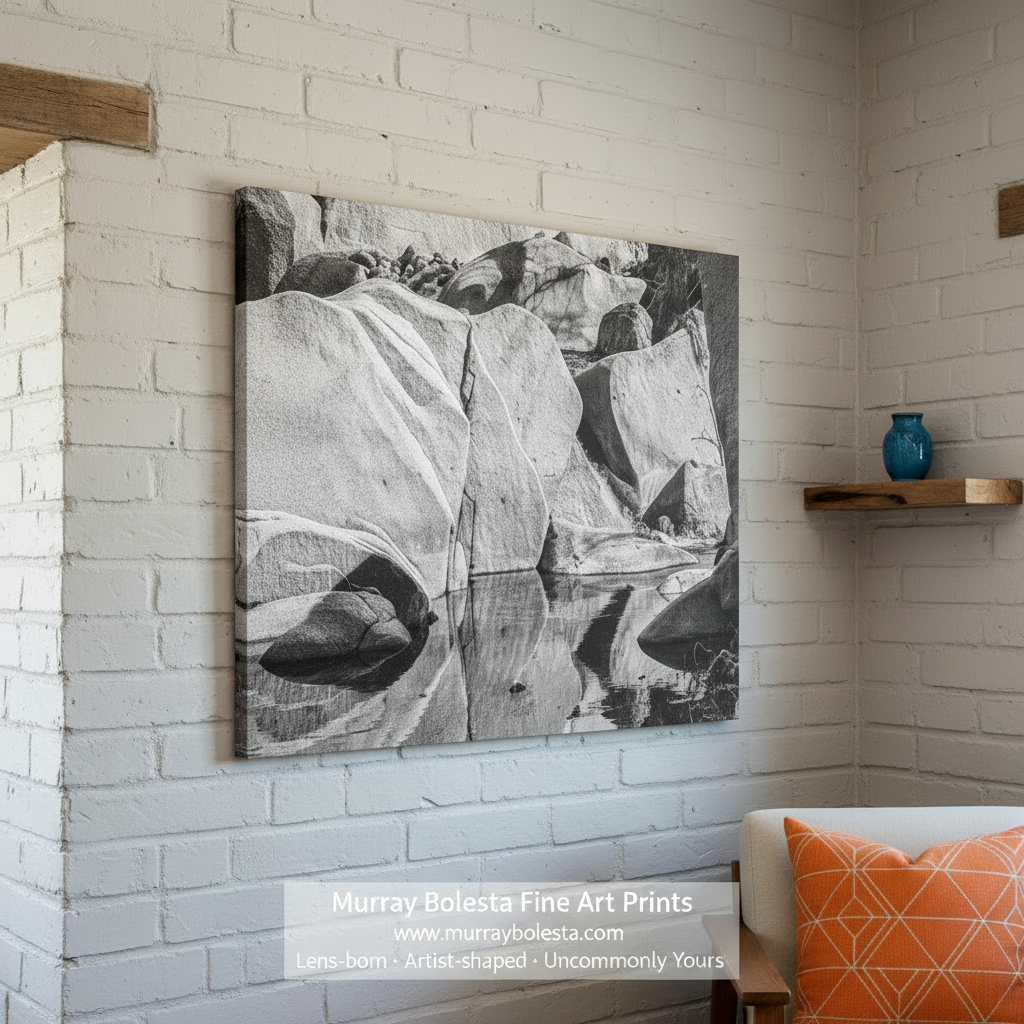 Arizona Wilderness Creek Art | Desert Canyon Black & White Photo
