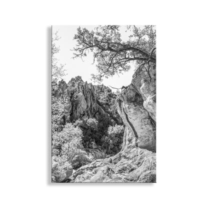 Mexico Border Arizona Wilderness Canyon Landscape Art Print