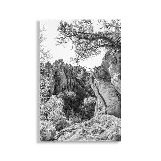 Mexico Border Arizona Wilderness Canyon Landscape Art Print