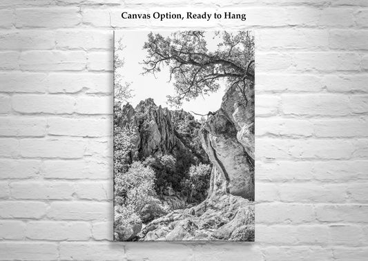 Mexico Border Arizona Wilderness Canyon Landscape Art Print