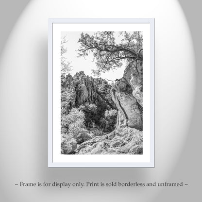 Mexico Border Arizona Wilderness Canyon Landscape Art Print