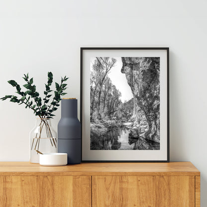 Western Canyon Creek Desert Oasis Black and White Art Print