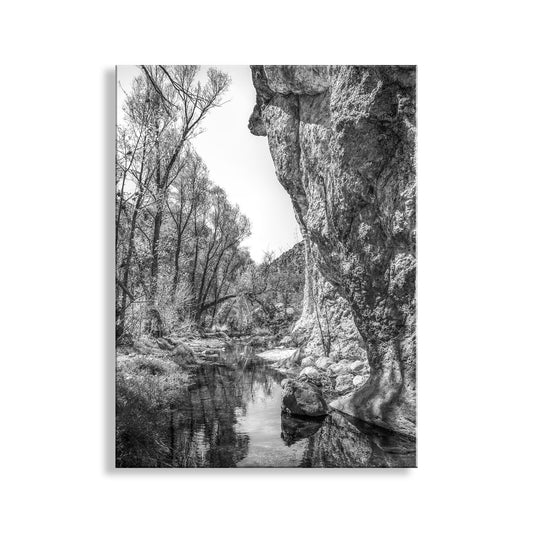Western Canyon Creek Desert Oasis Black and White Art Print