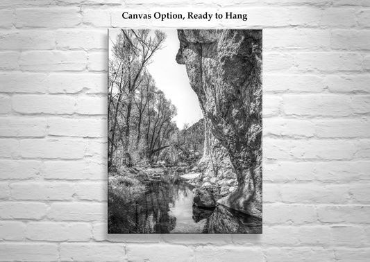 Western Canyon Creek Desert Oasis Black and White Art Print